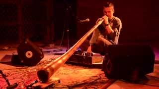 Tyler Spencer Live Didgeridoo at Indidjinus 2013
