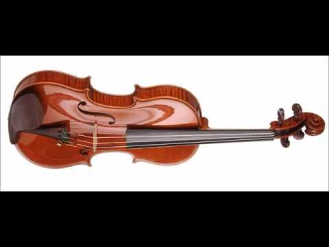 Marcin Krupa - Finalist - 13th Wieniawski Violin Making Comp. | binaural recording | concert hall