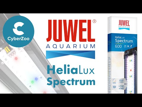 Watch Video on YouTube