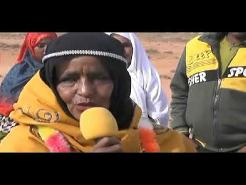 Gayshkayagoow Guleeysta   Saynab Xaaji Cali  Baxsan  Official Music Audio #2024