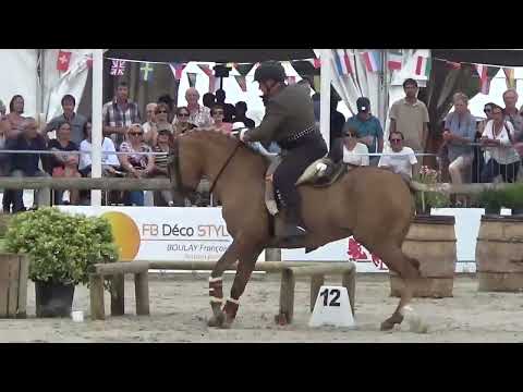 World Championship Working Equitation 2022 in les Herbiers speed test Lopez Garcia S. on ARENA