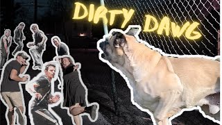 NKOTB Dirty Dawg *React*