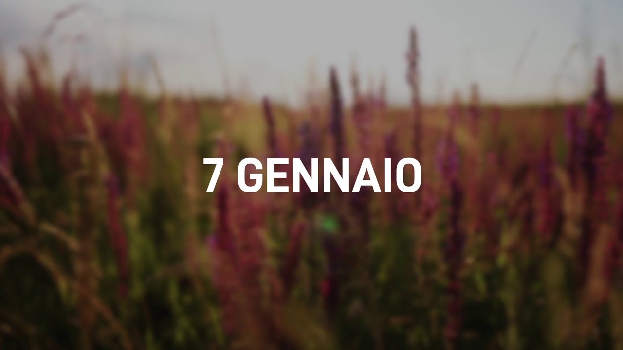07 Gennaio 2025 | Meditazione Parole di Vita