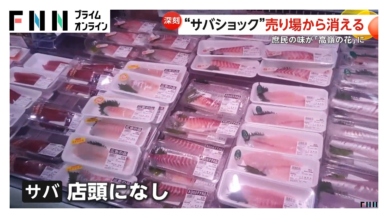 “サバショック”売り場から消える店舗も…漁獲量10年で半減し価格が上昇　愛媛で完全養殖に成功（2026年03月12日）