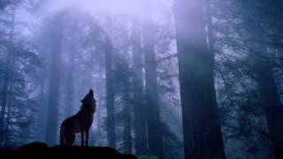 Non è stato per caso...