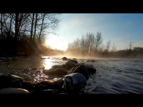 любэ - а река течёт из к/ф родные  (аранжировка на yamaha psr-s670) (cover)