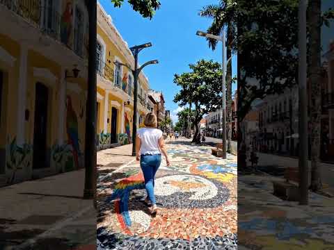 Campo Grande Mato Grosso do Sul Shorts