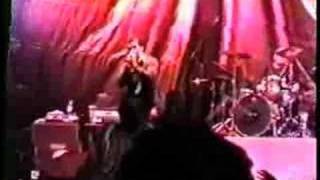 Project 86 - Untitled (Soma/Circuitry demo)