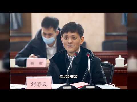 【海外组织部】：中组部启动对青海省委副书记刘奇凡的正部级考察程序。