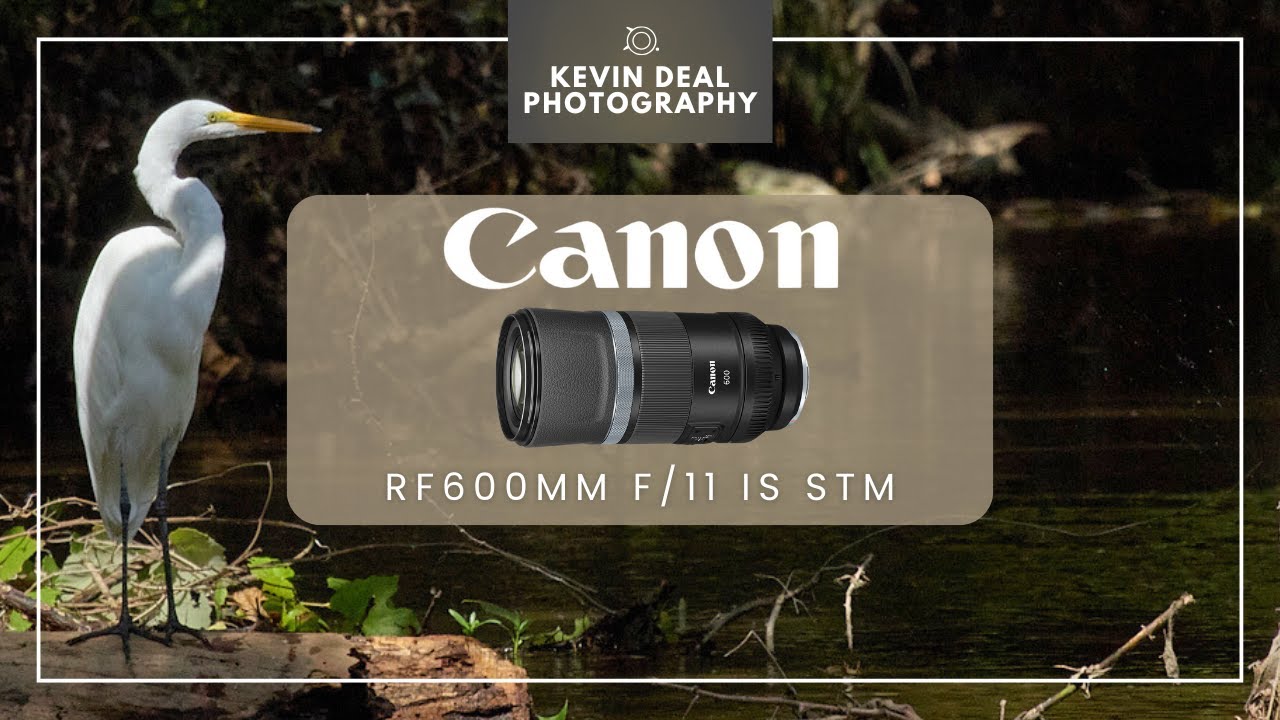 Why The Canon RF600mm f/11 Still Rocks | Long Term Review