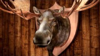 Alaskan Moose questions McCain's judgment in picking Palin in new MoveOn ad