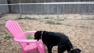 ITS STARTING TO RAIN!!!