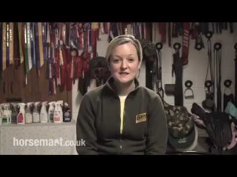 YouTube video about: How to treat hyperlipidemia in horses?