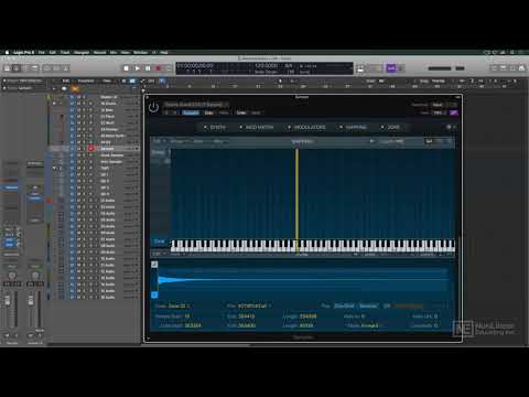 Free Download Sampler, Quick Sampler and Auto Sampler TUTORiAL