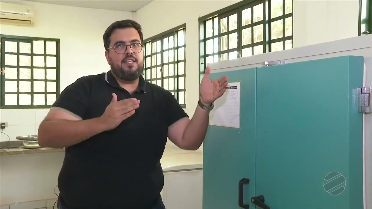 Uso de Fosfato Natural em Pastagem - Matéria +Agro 30/08/2024