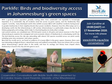 Conservation Conversations: Dr Caroline Howes - Parklife: Birds of JHB's Urban Green Spaces(17Nov20)