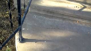 Talk this way walk this way