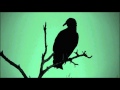 Starkey - "Proton" (Official Music Video)