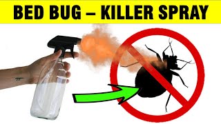 How to Make a Homemade Bed Bug Spray For Your House - NATURALLY