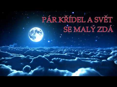 Tango - TANGO - Ptáci