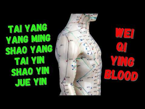 The 6 Stages (Shang han Lun) and 4 Levels (Wen Bing) in TCM