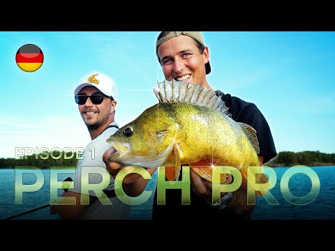 PERCH PRO 11 - Episode 1 (Deutsche version)