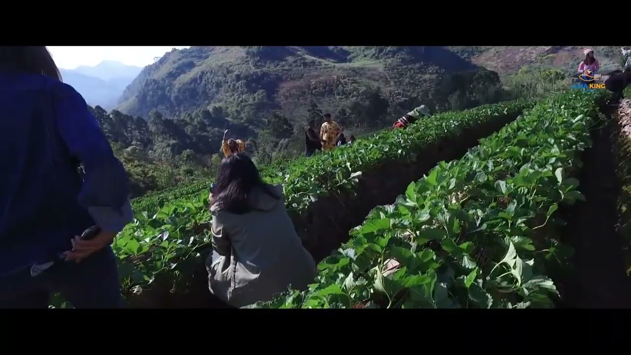 Doi Ang Khang: A Hidden Paradise in Northern Thailand