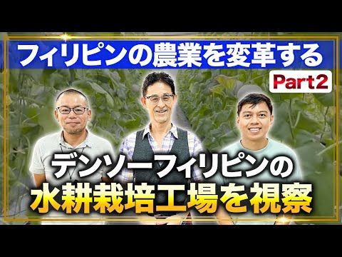 【農業変革】デンソーフィリピンの水耕栽培工場を視察/製造業と農業の統合【Part2】