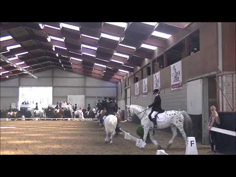 Voorstellen NK Carrousel 2017 1e Divisie Pony's