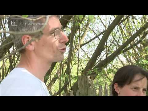 Miethuhn in der Hessenschau 28.04.2020