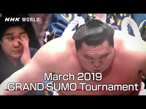 The strong sumo Yokozuna HAKUHO's 15 wins