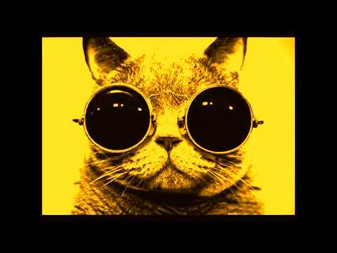 steve Judge x Leandro Barros remix --Coronita remix