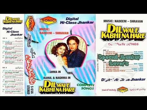 Dono Ke Husn Mein ((Sonic Digital Hi-Class Jhankar ))Kumar Sanu & Rageshwari