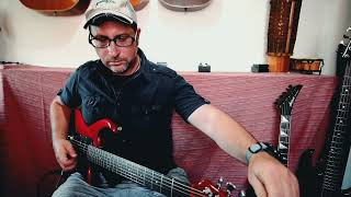 Video thumbnail for Aria Pro ii Rs Wild Cat MIJ 1980s - Sound Demo by Paul's JV gear outlet channel