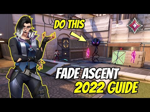 ALL FADE LINEUPS ON ASCENT