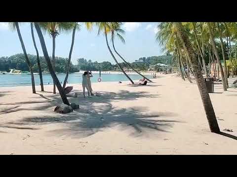 Suttel Bus  santusa Beach