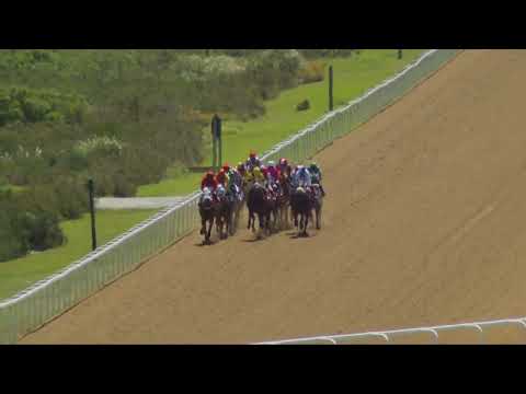 DUTCHESSBURNEDETTE - Race 3 #fairview 04-11-2022