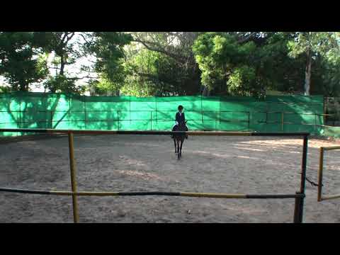 2019 9IQ 72 S CEC Tejesh Achin Chocolate EQB2