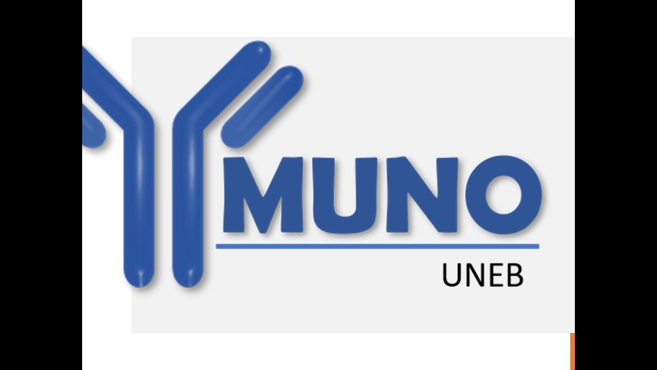 Imunologia Semana 12 - Correlação Clínico Laboratorial Ensaios Imunológicos conjugados