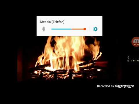 Genka/Paul Oja - Riho