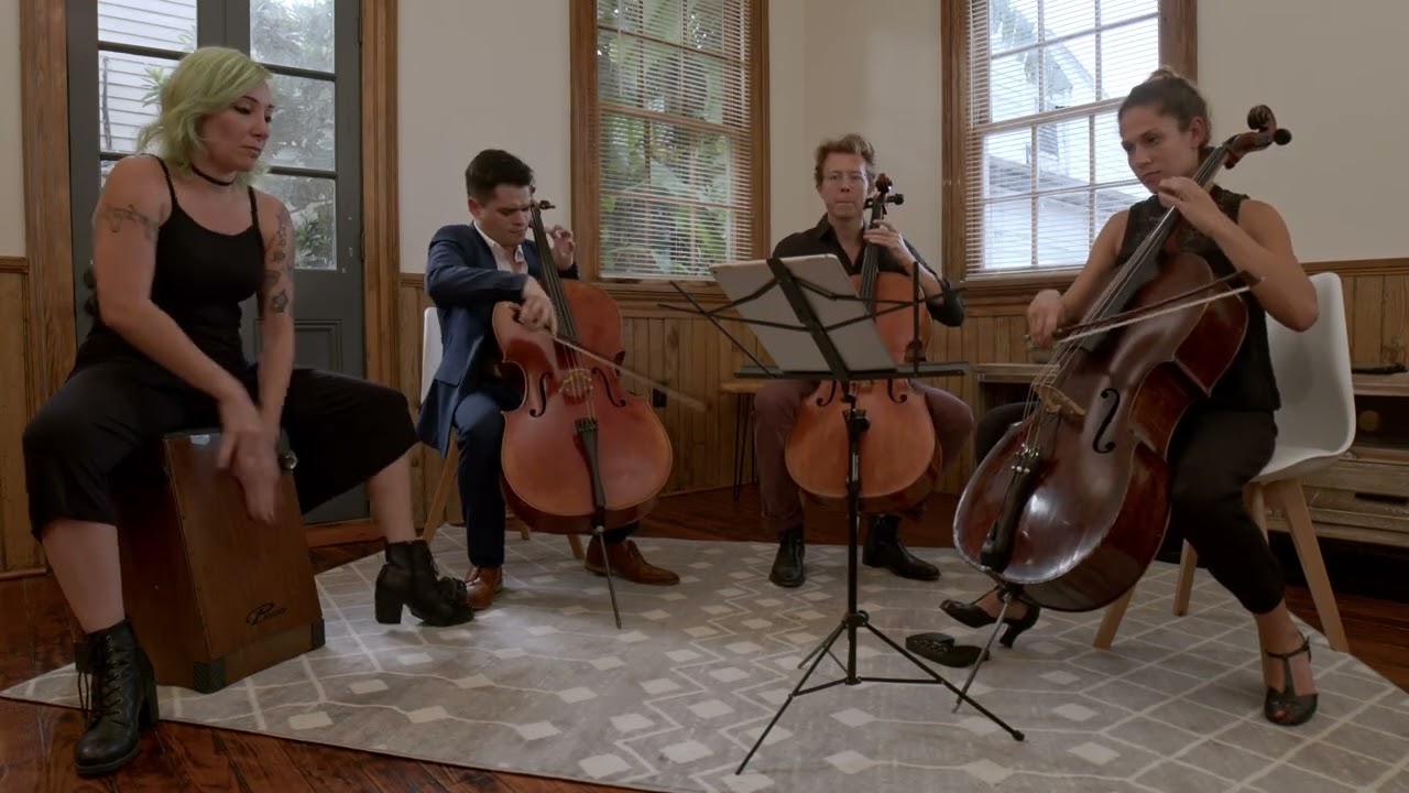 Promotional video thumbnail 2 for Cellist The Josh