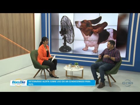 Veterinário alerta sobre uso do ar-condicionado para pets 26 10 2022