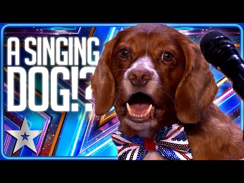Dog SINGS Alesha Dixon's 'Breathe Slow' | Unforgettable Audition | Britain's Got Talent