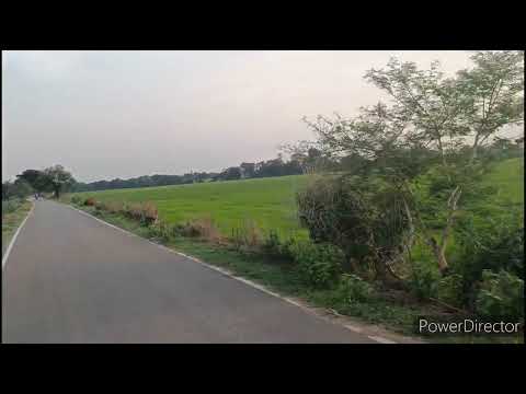 The sunset view || Paddy field