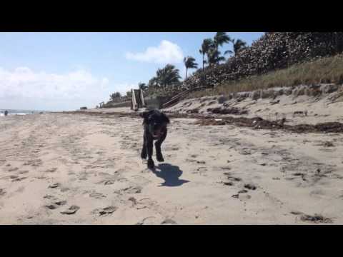 Justin at the beach the day he died