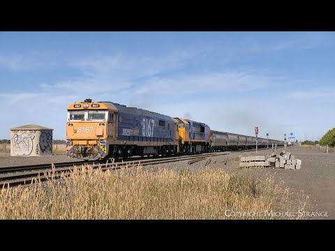 7732V Pacific National Grain Train With 8167 & XR559 At Gheringhap (4/1/2025) - PoathTV Railway