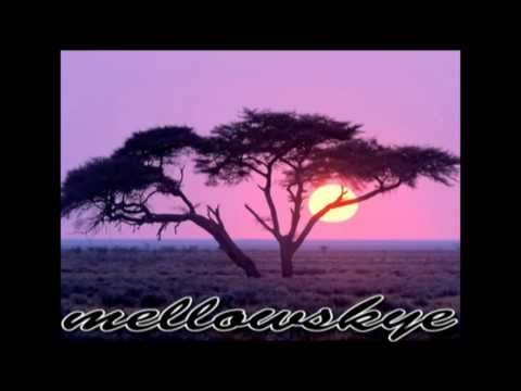 LOUNGE CAFE DEL MAR - AMBIENT CHILLOUT