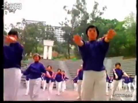 香港公益 市政局，理想都市携手创 1996年