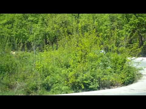 TENU VTM MOSTENI 2009