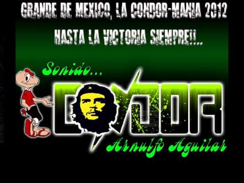 Sonido Condor Carnaval Martin Carrera 2013 Cumbia San Pedro